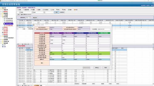 基于Access平台的劳资信息管理系统信息安全开发实践